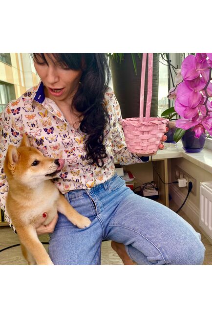 Женская рубашка  принт - бабочки, под пуговицы с супатной застежкой полуприталенная - 7813 от DoubleCuff 