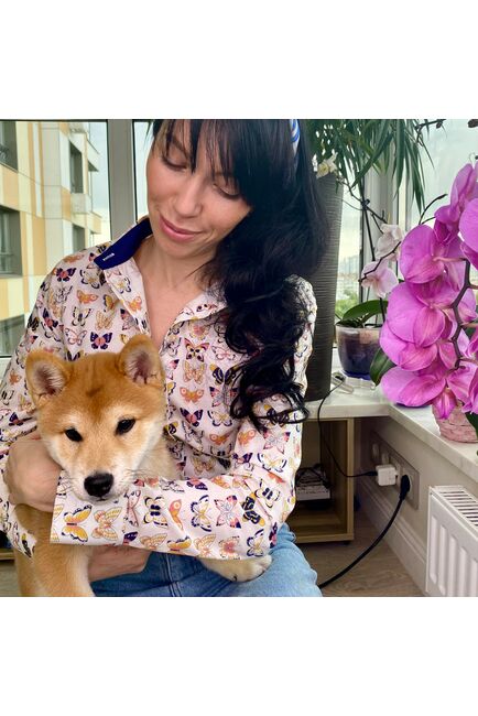 Женская рубашка  принт - бабочки, под пуговицы с супатной застежкой полуприталенная - 7813 от DoubleCuff 