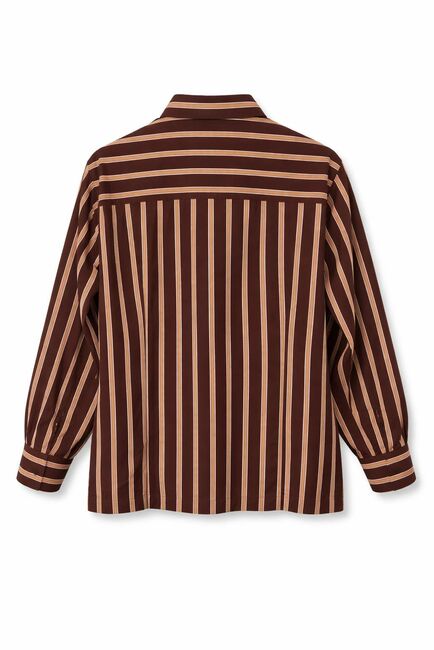 Рубашка хлопковая в полуприталенном силуэте коричневая в полоску под пуговицы 9061 от byME 