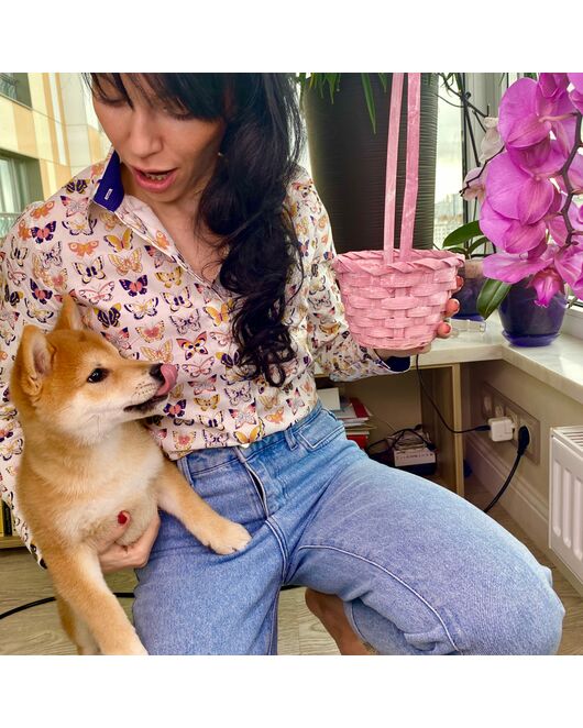 Женская рубашка  принт - бабочки, под пуговицы с супатной застежкой полуприталенная - 7813 от DoubleCuff 